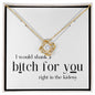 Funny Gift for Friend, Sister, Best Friend, Woman Necklace, I'd Shank a Bitch for You, Funny Birthday Gift, 14kt Gold Filled, Rose, Silver W