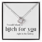 Funny Gift for Friend, Sister, Best Friend, Woman Necklace, I'd Shank a Bitch for You, Funny Birthday Gift, 14kt Gold Filled, Rose, Silver W