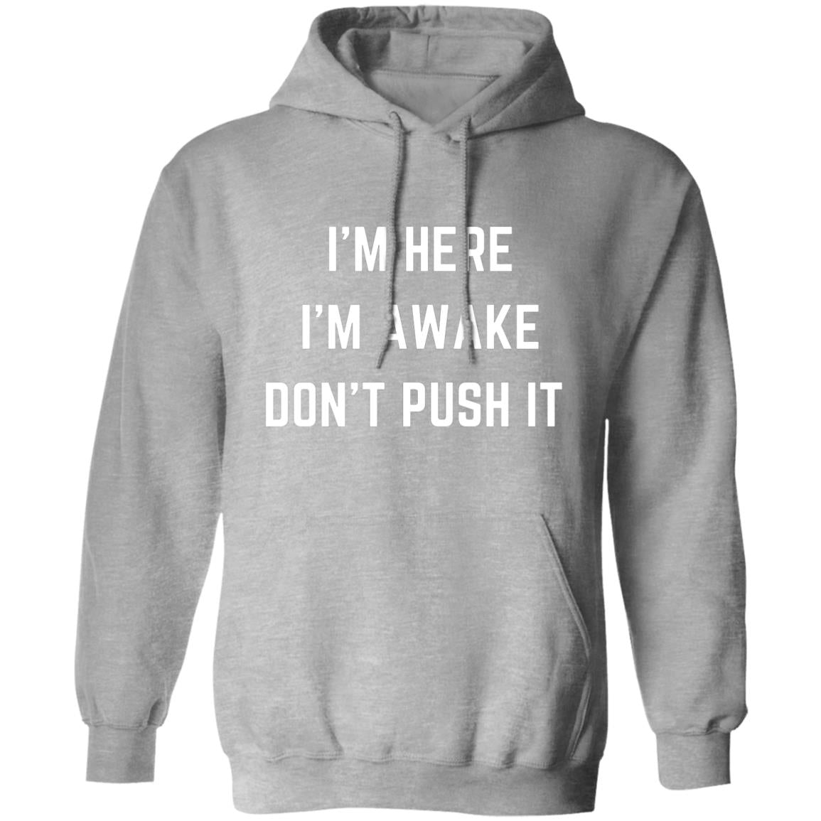 I'm Here I'm Awake Don't Push It HoodieSarcastic Hoodie Funny Hooded Sweatshirt Funny Winter Hoodies Adult Humor Funny Gift Idea Sarcasm G185 Pullover Hoodie