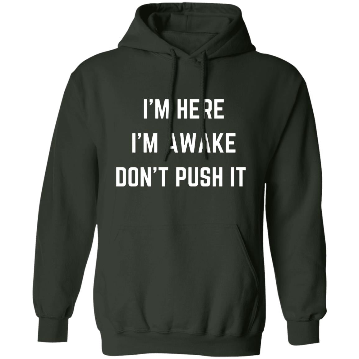 I'm Here I'm Awake Don't Push It HoodieSarcastic Hoodie Funny Hooded Sweatshirt Funny Winter Hoodies Adult Humor Funny Gift Idea Sarcasm G185 Pullover Hoodie