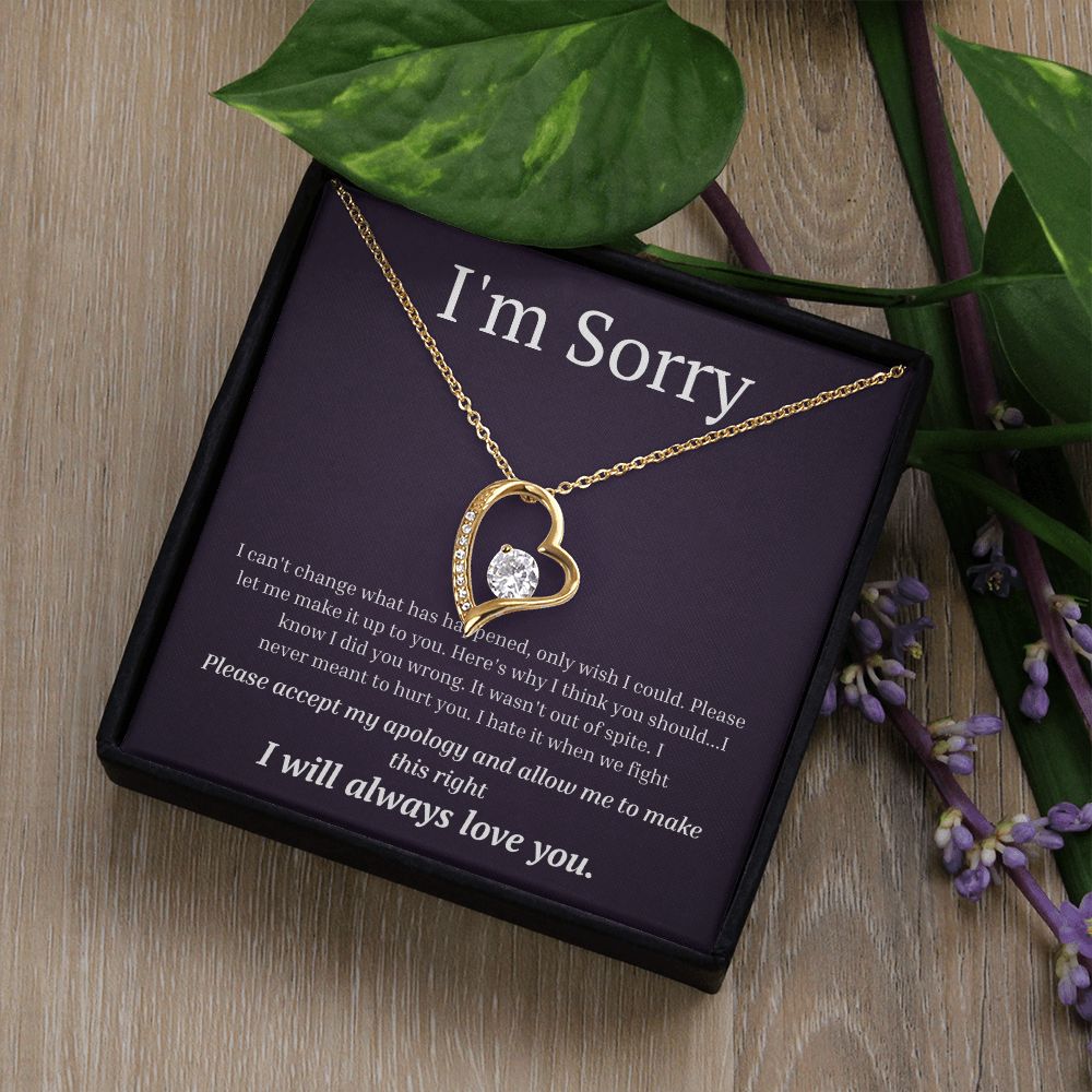 White Gold Forever Love Necklace, I'm sorry gift, sorry gift